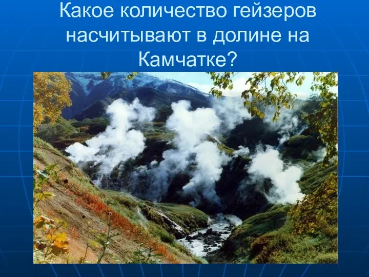 Какое количество гейзеров насчитывают в долине на Камчатке?