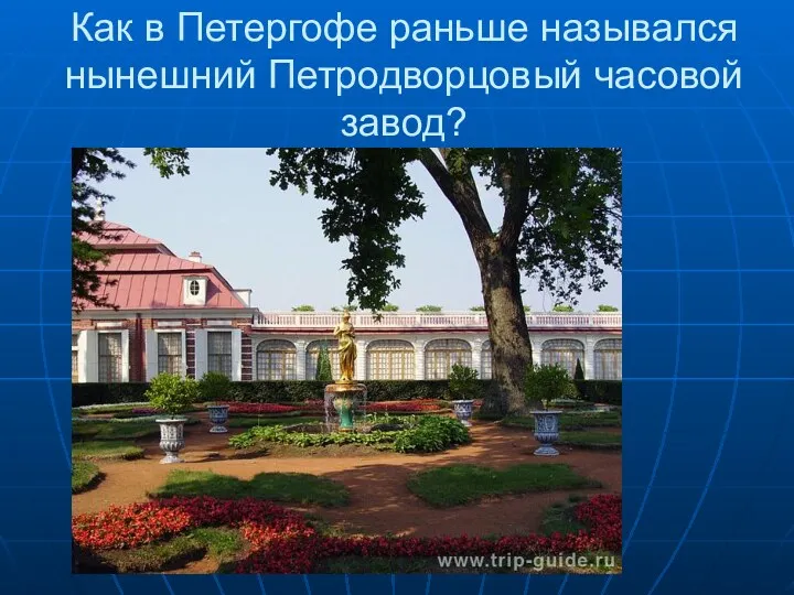 Как в Петергофе раньше назывался нынешний Петродворцовый часовой завод?