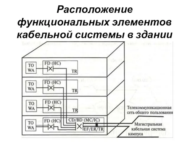 Расположение функциональных элементов кабельной системы в здании