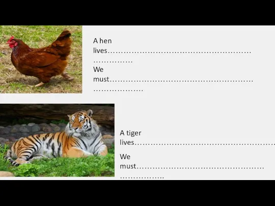 A hen lives…………………………………………………………… A tiger lives…………………………………………………… We must………………………………………………………………. We must………………………………………………………..