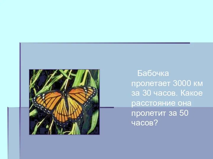 Бабочка пролетает 3000 км за 30 часов. Какое расстояние она пролетит за 50 часов?