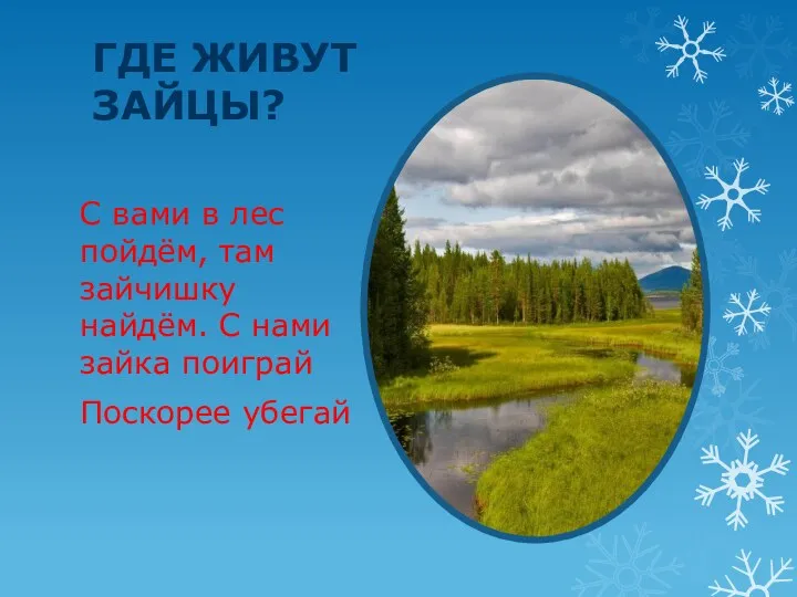 Где живут зайцы? С вами в лес пойдём, там зайчишку