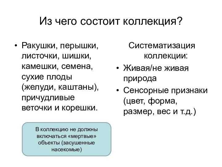 Из чего состоит коллекция? Ракушки, перышки, листочки, шишки, камешки, семена,