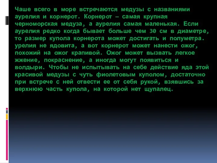 Чаше всего в море встречаются медузы с названиями аурелия и