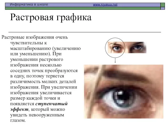 Растровая графика Растровые изображения очень чувствительны к масштабированию (увеличению или