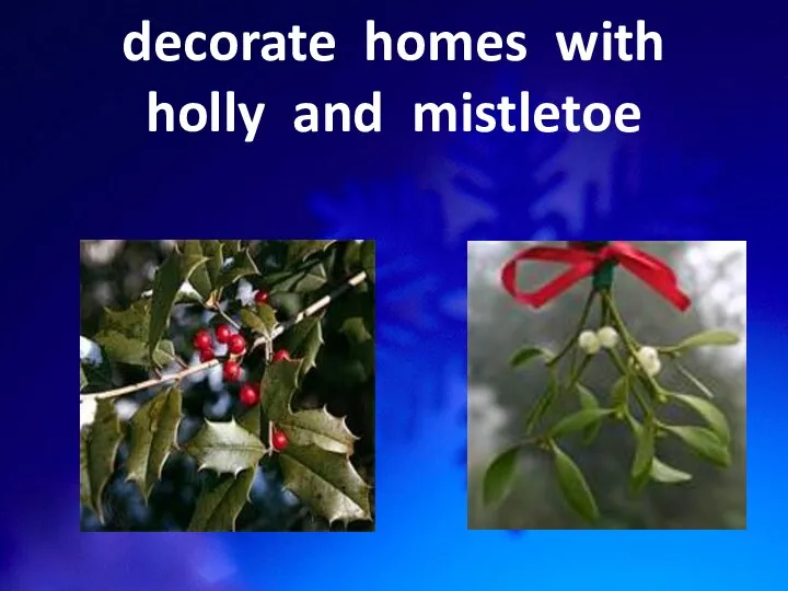 decorate homes with holly and mistletoe