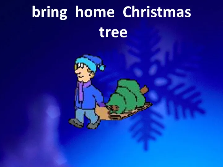 bring home Christmas tree