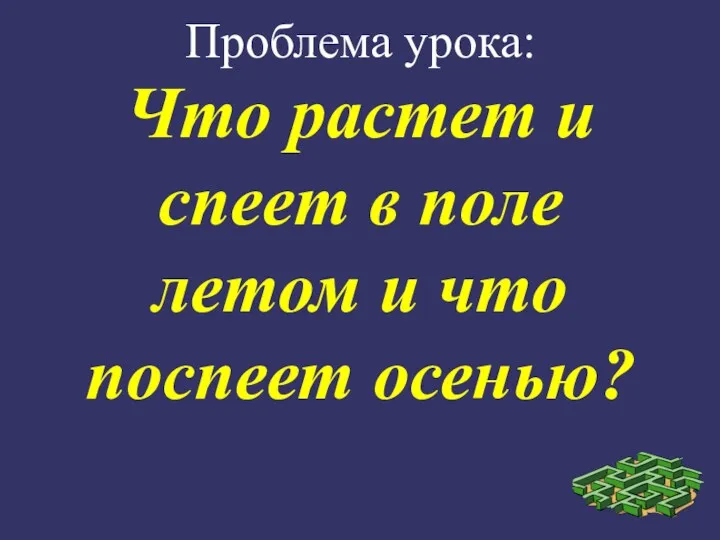 Проблема урока: Что растет и спеет в поле летом и что поспеет осенью?