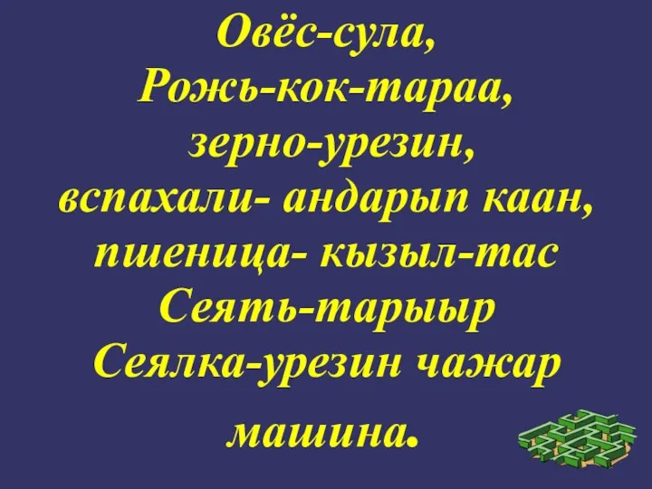 Овёс-сула, Рожь-кок-тараа, зерно-урезин, вспахали- андарып каан, пшеница- кызыл-тас Сеять-тарыыр Сеялка-урезин чажар машина.