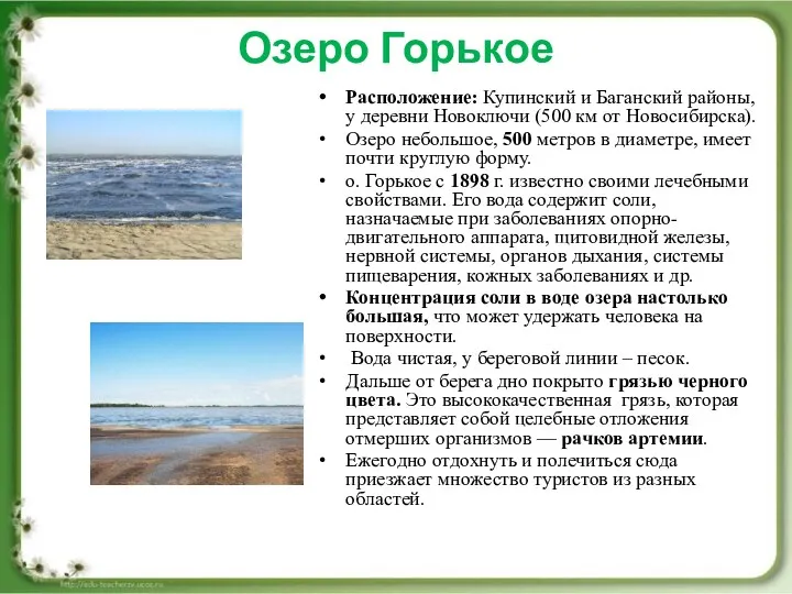 Озеро Горькое Расположение: Купинский и Баганский районы, у деревни Новоключи