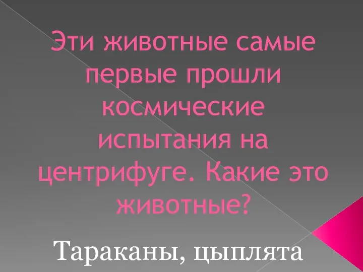 Эти животные самые первые прошли космические испытания на центрифуге. Какие это животные? Тараканы, цыплята