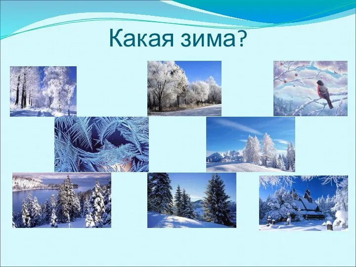 Какая зима?