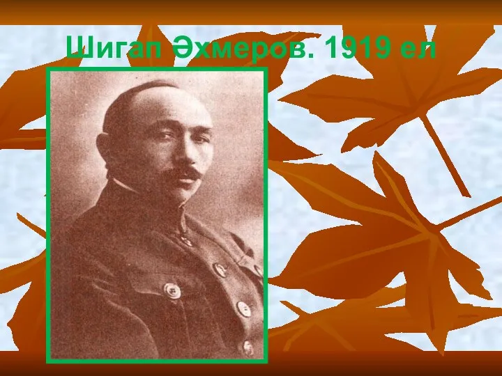 Шигап Әхмеров. 1919 ел