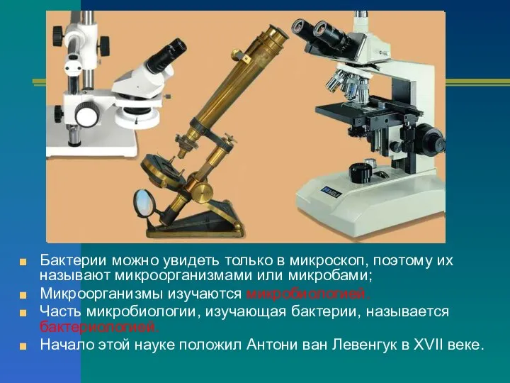 Бактерии можно увидеть только в микроскоп, поэтому их называют микроорганизмами