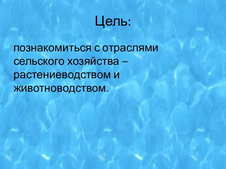 Цель: познакомиться с отраслями сельского хозяйства – растениеводством и животноводством.