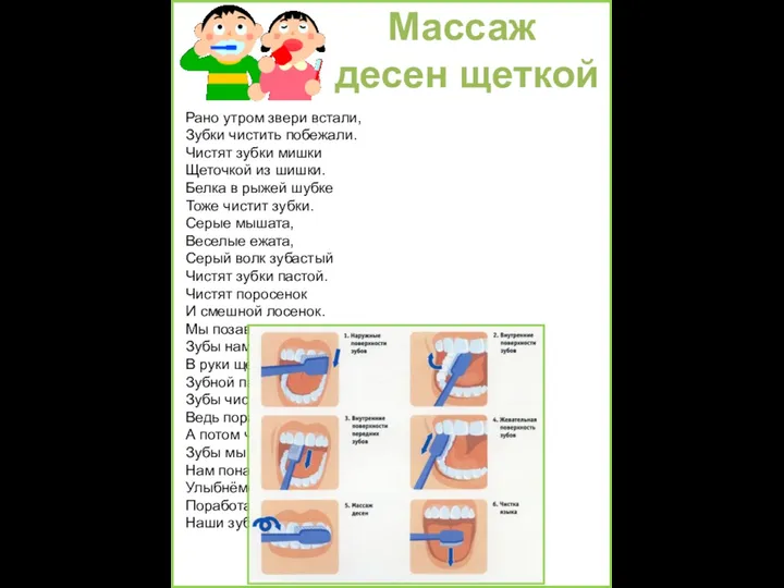 Массаж десен щеткой Рано утром звери встали, Зубки чистить побежали. Чистят зубки мишки