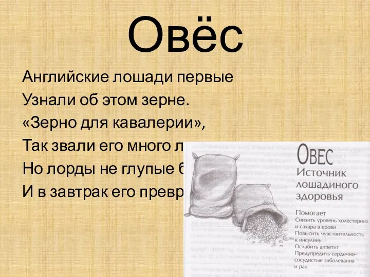 Овёс Английские лошади первые Узнали об этом зерне. «Зерно для