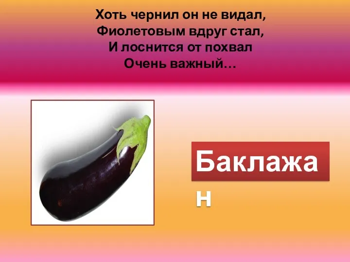 Хоть чернил он не видал, Фиолетовым вдруг стал, И лоснится от похвал Очень важный… Баклажан