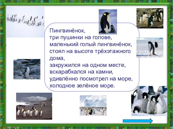 Пингвинёнок, три пушинки на голове, маленький голый пингвинёнок, стоял на