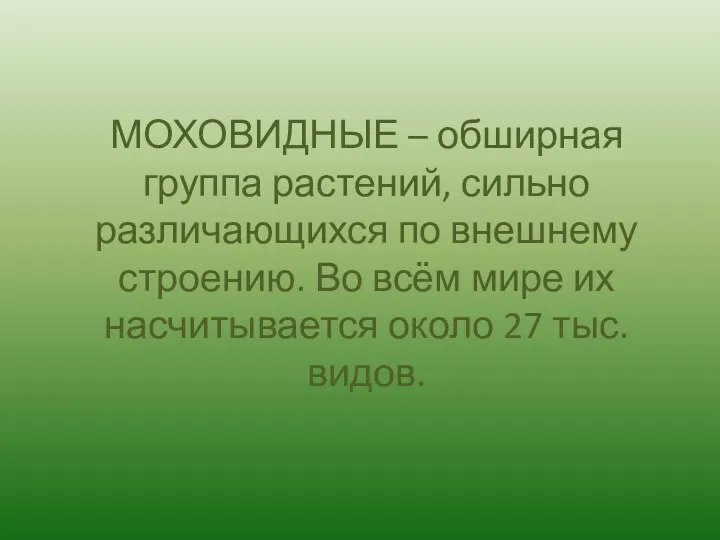 МОХОВИДНЫЕ – обширная группа растений, сильно различающихся по внешнему строению.