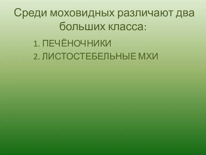 Среди моховидных различают два больших класса: 1. ПЕЧЁНОЧНИКИ 2. ЛИСТОСТЕБЕЛЬНЫЕ МХИ