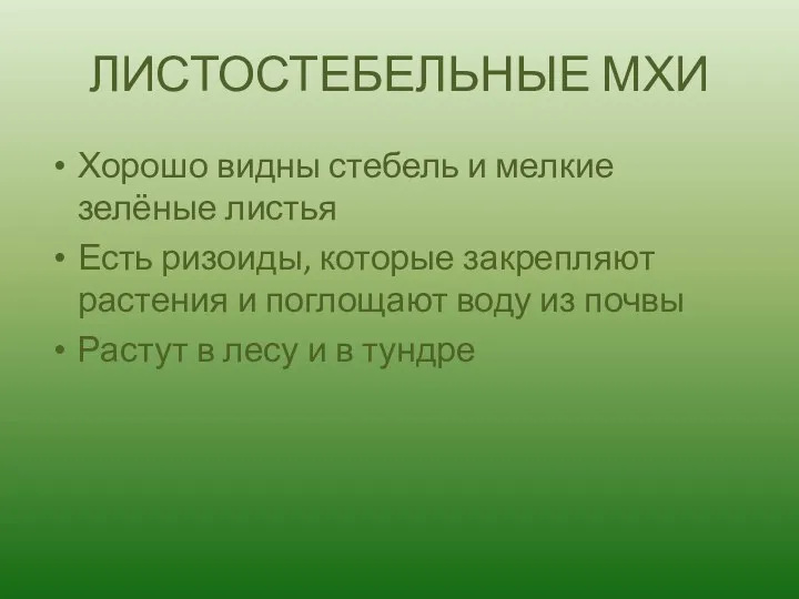 ЛИСТОСТЕБЕЛЬНЫЕ МХИ Хорошо видны стебель и мелкие зелёные листья Есть