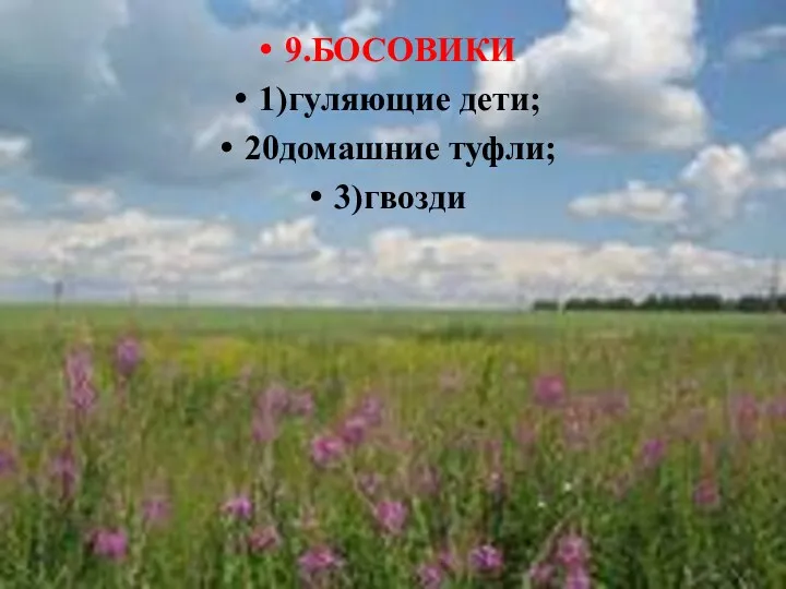 9.БОСОВИКИ 1)гуляющие дети; 20домашние туфли; 3)гвозди