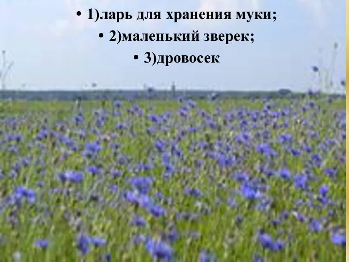 10.СУСЕК 1)ларь для хранения муки; 2)маленький зверек; 3)дровосек