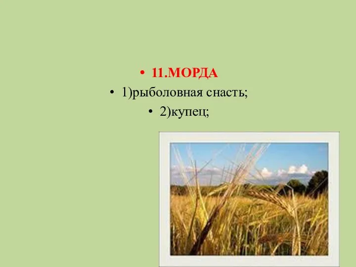 11.МОРДА 1)рыболовная снасть; 2)купец;