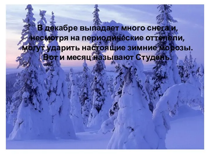 В декабре выпадает много снега и, несмотря на периодические оттепели, могут ударить настоящие