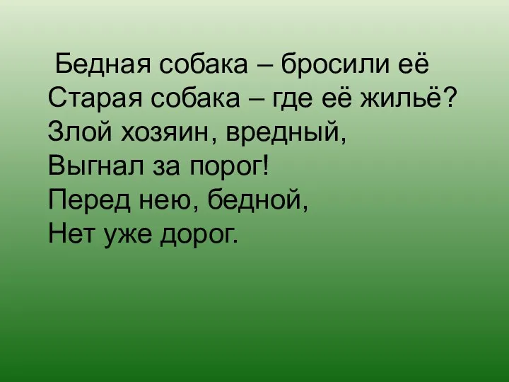 Бедная собака – бросили её Старая собака – где её