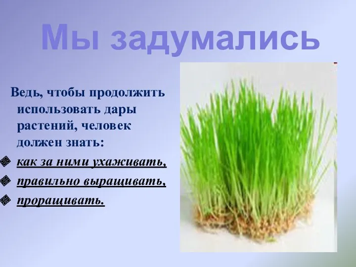 Ведь, чтобы продолжить использовать дары растений, человек должен знать: как