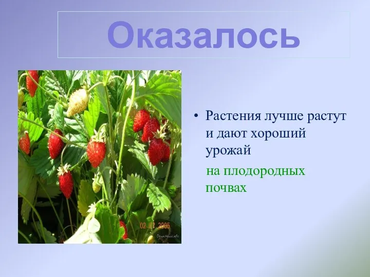 Оказалось Растения лучше растут и дают хороший урожай на плодородных почвах