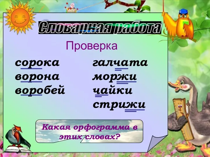 Словарная работа Проверка сорока ворона воробей галчата моржи чайки стрижи Какая орфограмма в этих словах?