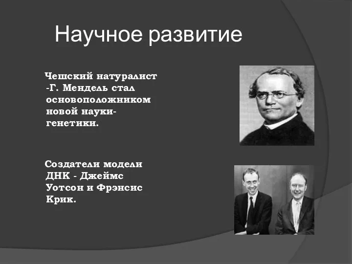 Научное развитие Чешский натуралист -Г. Мендель стал основоположником новой науки-генетики.