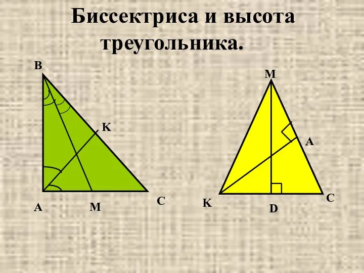 Биссектриса и высота треугольника.