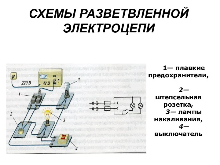 СХЕМЫ РАЗВЕТВЛЕННОЙ ЭЛЕКТРОЦЕПИ 1— плавкие предохранители, 2— штепсельная розетка, 3— лампы накаливания, 4— выключатель