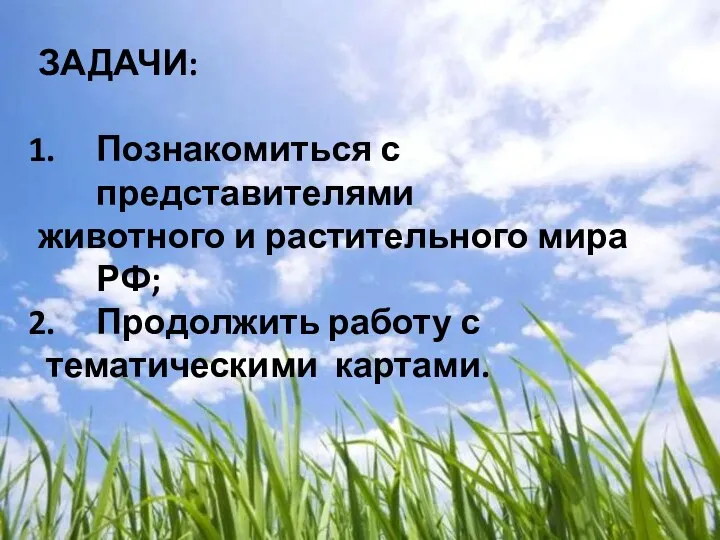 ЗАДАЧИ: Познакомиться с представителями животного и растительного мира РФ; Продолжить работу с тематическими картами.