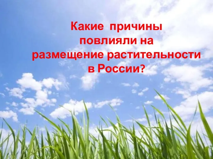 Какие причины повлияли на размещение растительности в России?