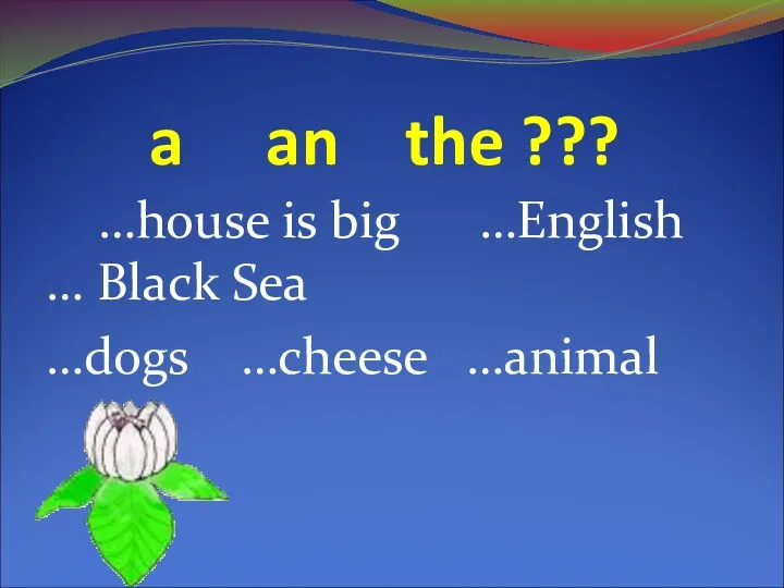 a an the ??? …house is big …English … Black Sea …dogs …cheese …animal