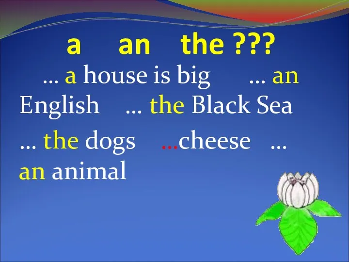 a an the ??? … a house is big …