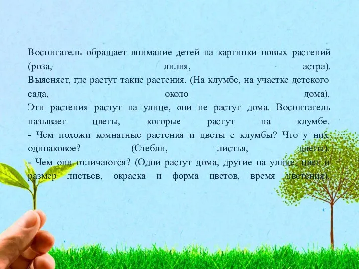 Воспитатель обращает внимание детей на картинки новых растений (роза, лилия,