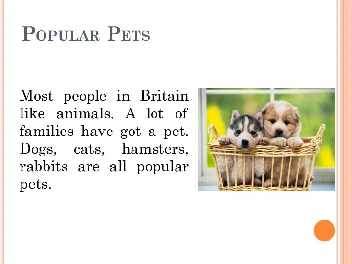 Popular Pets Most people in Britain like animals. A lot of families have
