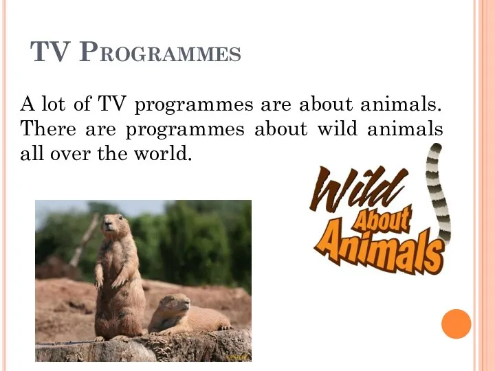 TV Programmes A lot of TV programmes are about animals. There are programmes