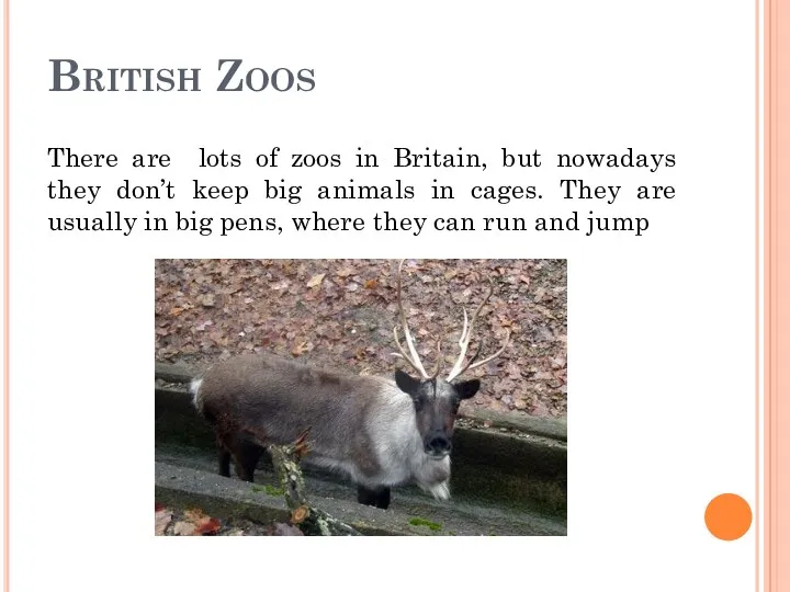 British Zoos There are lots of zoos in Britain, but nowadays they don’t