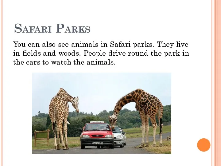Safari Parks You can also see animals in Safari parks. They live in