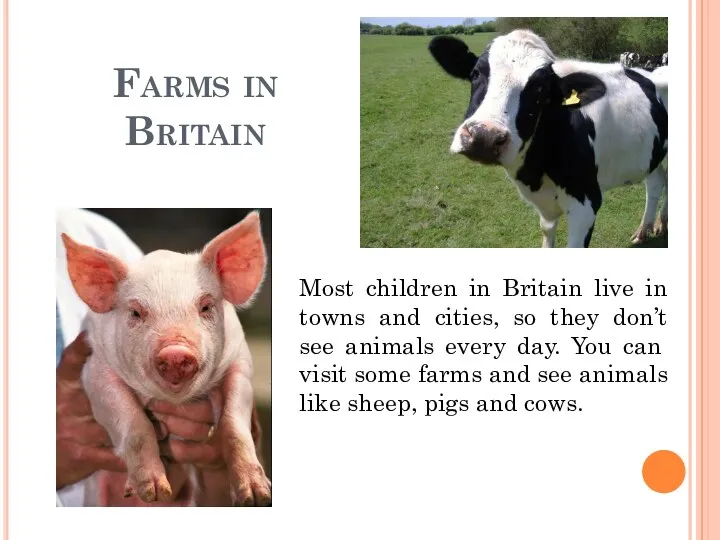 Farms in Britain Most children in Britain live in towns and cities, so