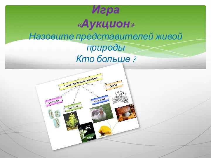 Игра «Аукцион» Назовите представителей живой природы Кто больше ?