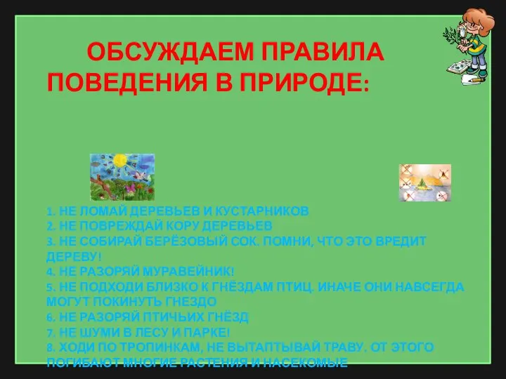 Обсуждаем правила поведения в природе: 1. Не ломай деревьев и