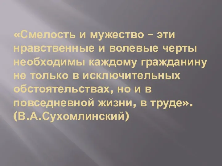 «Смелость и мужество – эти нравственные и волевые черты необходимы каждому гражданину не